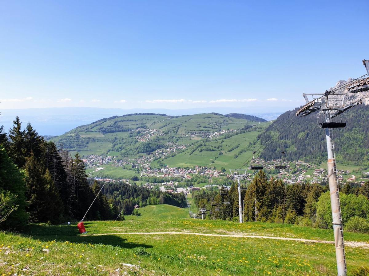 Le 211,ski et randonnée, lave linge ,parking Bernex Exterior foto